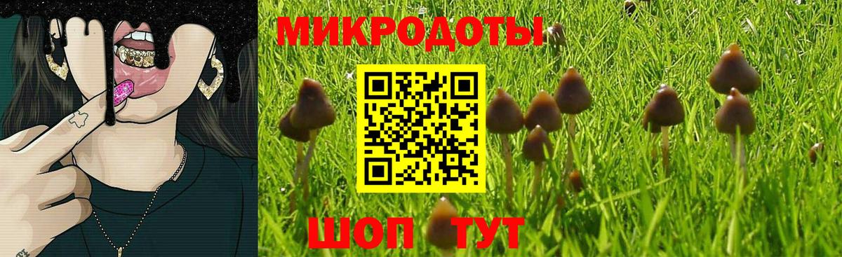 Псилоцибиновые грибы MAGIC MUSHROOMS  Вход с VPN  Лесозаводск  Псилоцибиновые грибы MAGIC MUSHROOMS 