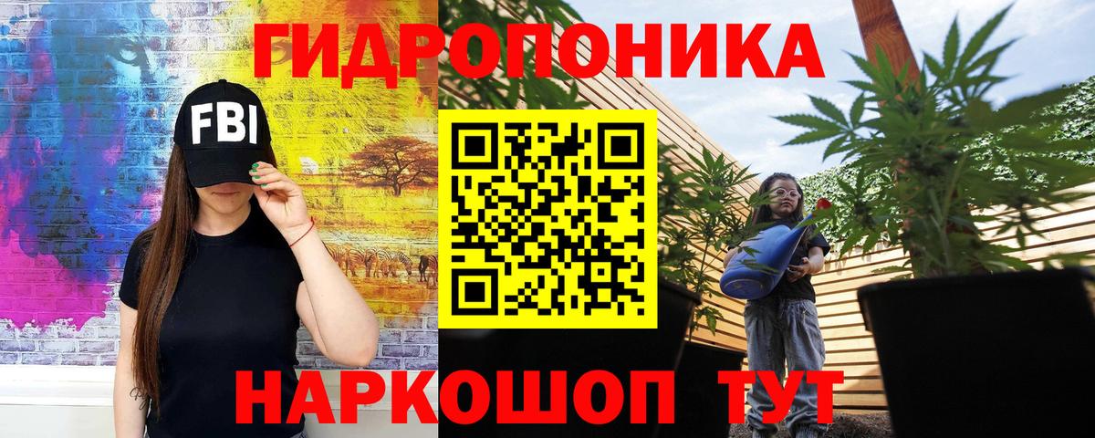 Конопля семена  Конопля Bruce Banner  Лесозаводск  Вход с VPN 
